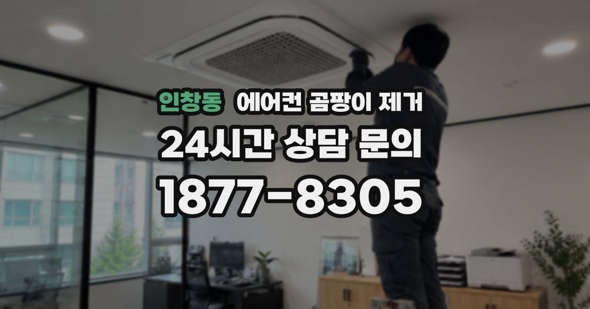 인창동 에어컨 곰팡이 제거