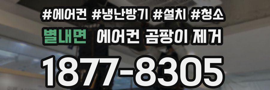 별내면 에어컨 곰팡이 제거