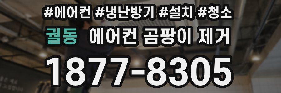 궐동 에어컨 곰팡이 제거
