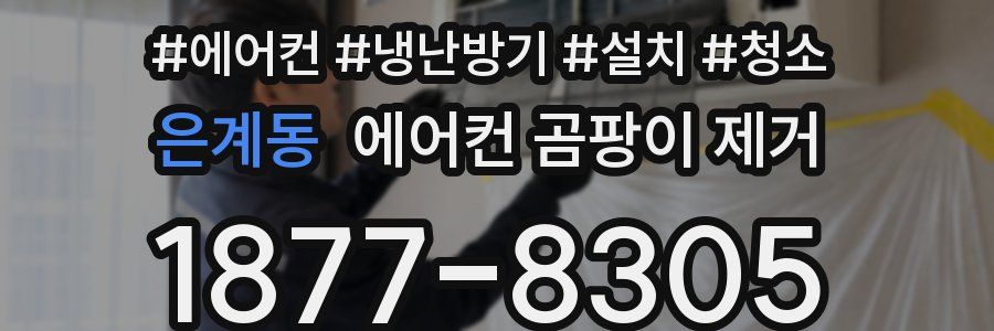 은계동 에어컨 곰팡이 제거