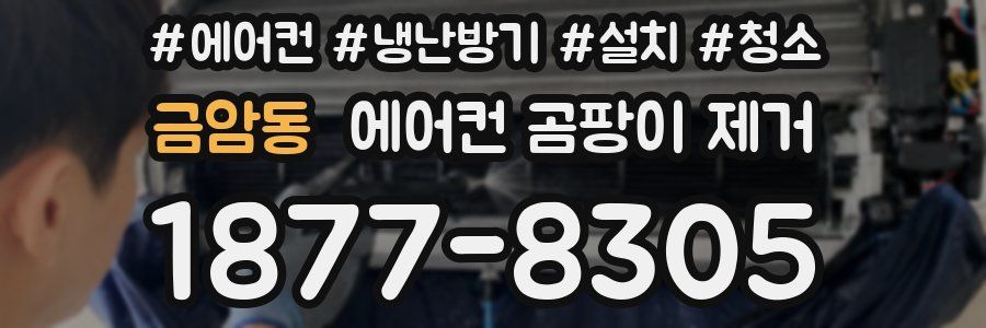 금암동 에어컨 곰팡이 제거