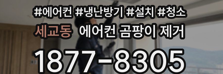 세교동 에어컨 곰팡이 제거