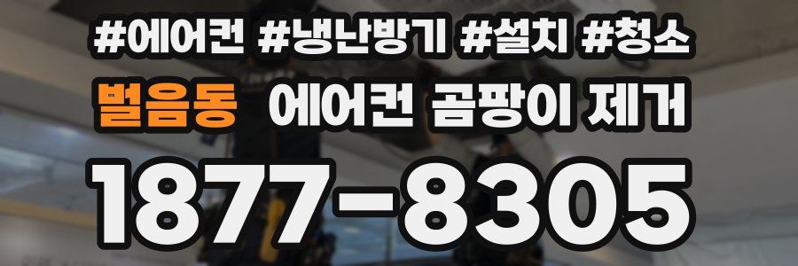 벌음동 에어컨 곰팡이 제거