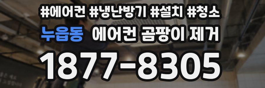 누읍동 에어컨 곰팡이 제거