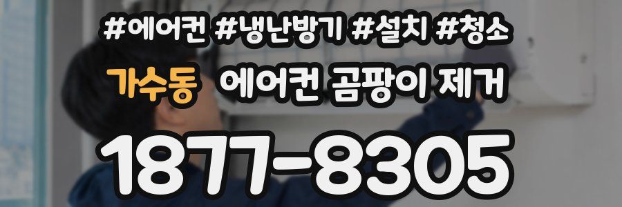 가수동 에어컨 곰팡이 제거