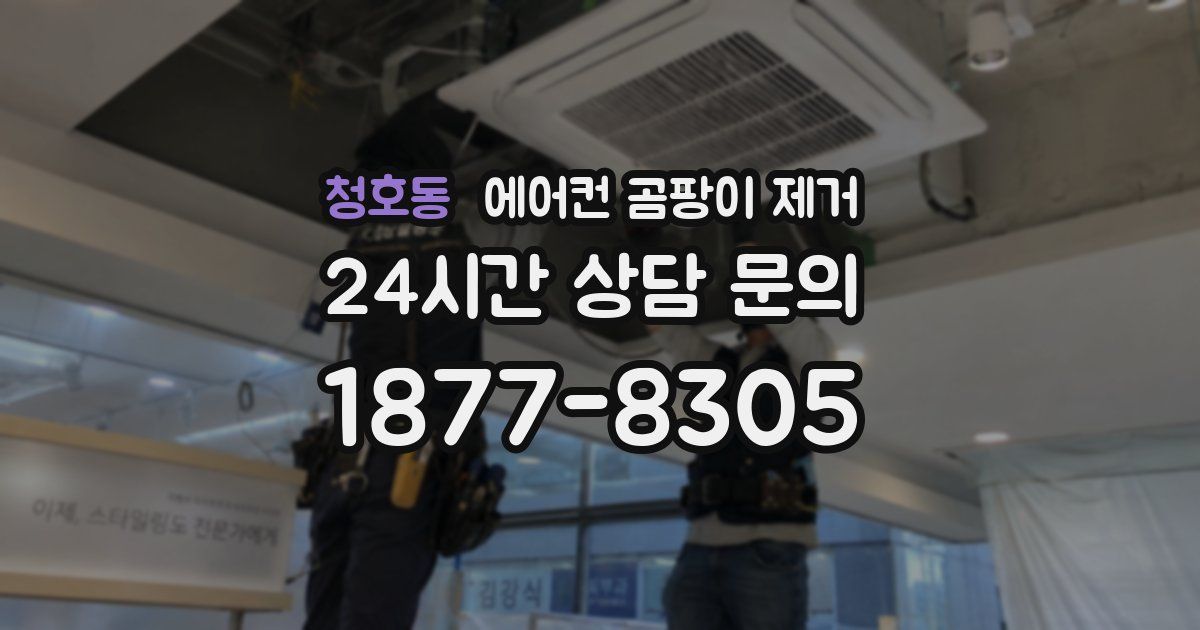 청호동 에어컨 곰팡이 제거