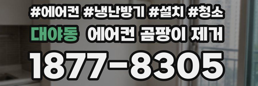 대야동 에어컨 곰팡이 제거