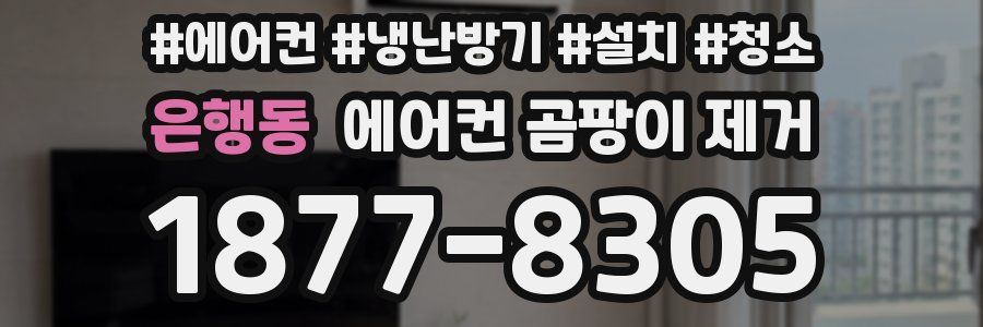 은행동 에어컨 곰팡이 제거