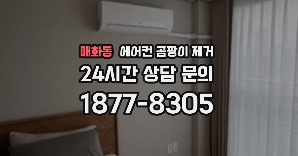 매화동 에어컨 곰팡이 제거