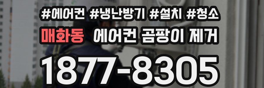 매화동 에어컨 곰팡이 제거