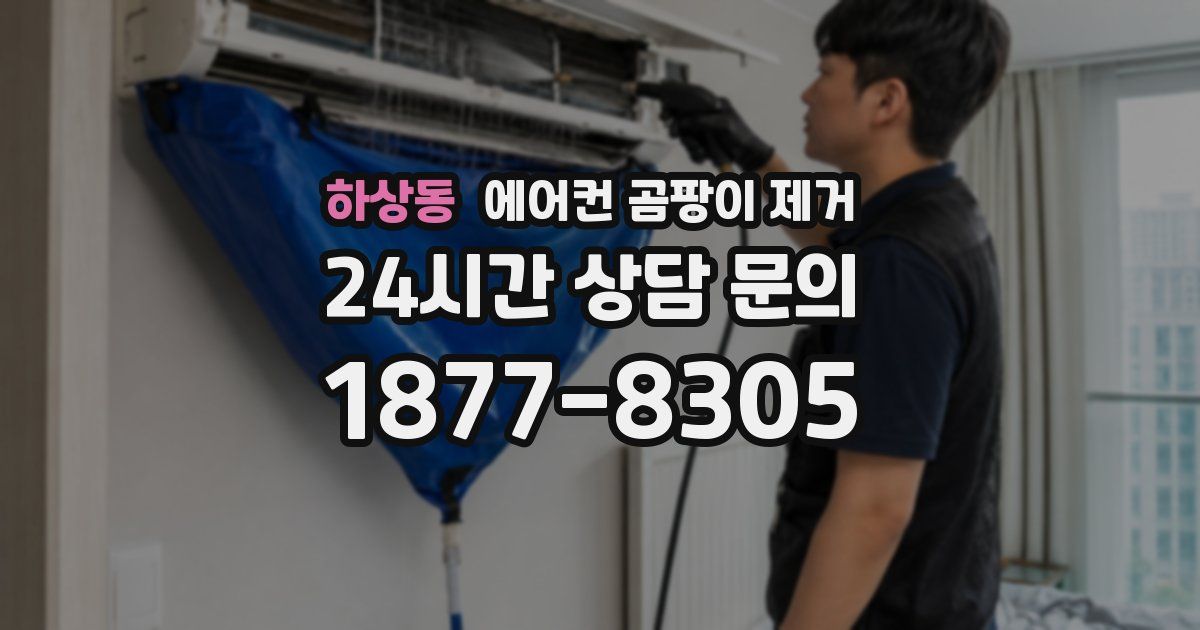 하상동 에어컨 곰팡이 제거