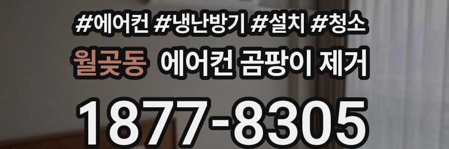 월곶동 에어컨 곰팡이 제거