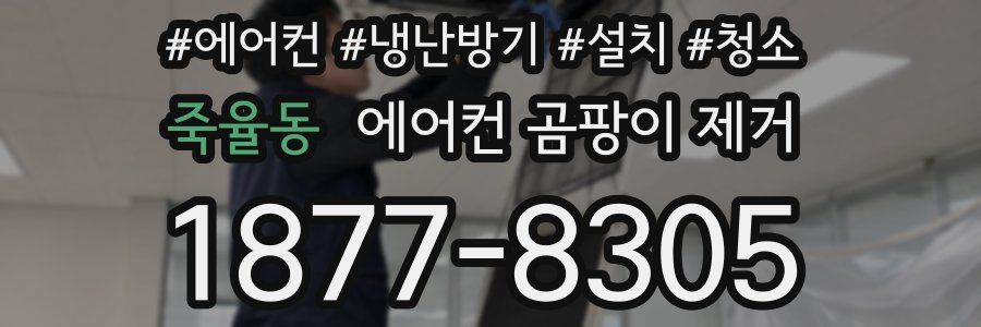 죽율동 에어컨 곰팡이 제거