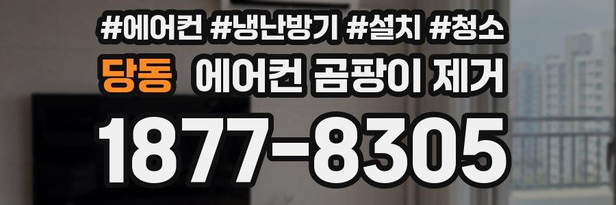 당동 에어컨 곰팡이 제거