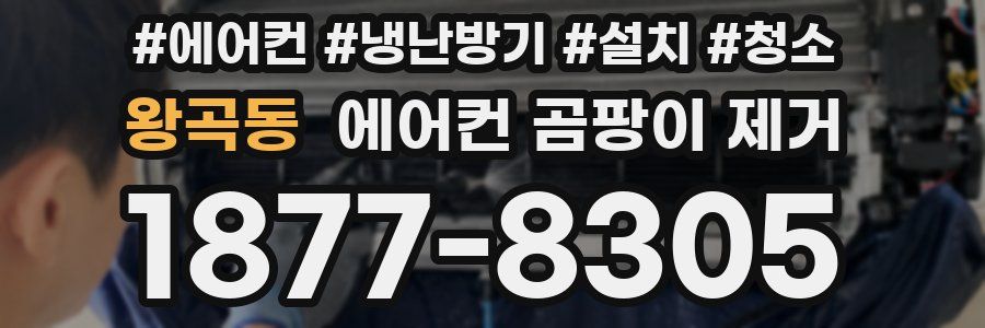 왕곡동 에어컨 곰팡이 제거