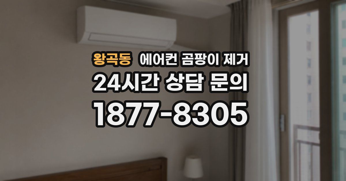 왕곡동 에어컨 곰팡이 제거