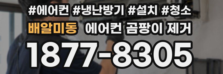 배알미동 에어컨 곰팡이 제거