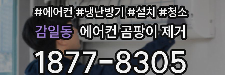감일동 에어컨 곰팡이 제거