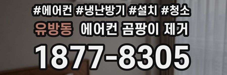유방동 에어컨 곰팡이 제거