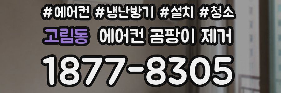 고림동 에어컨 곰팡이 제거