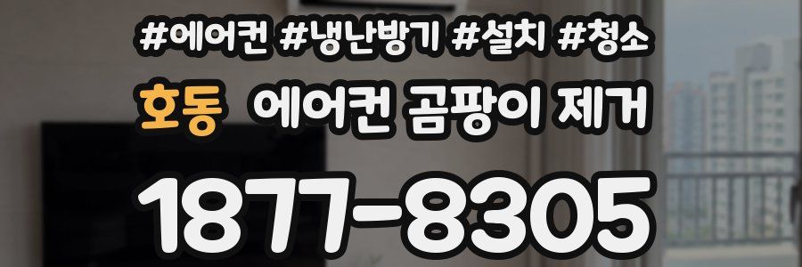 호동 에어컨 곰팡이 제거