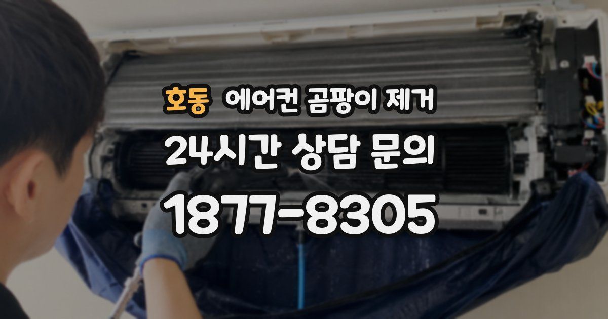 호동 에어컨 곰팡이 제거