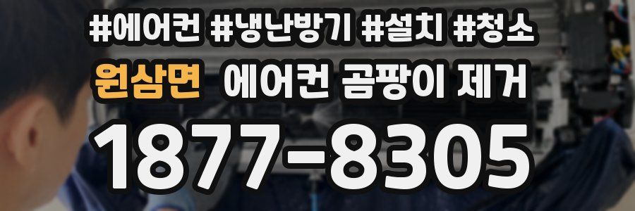 원삼면 에어컨 곰팡이 제거