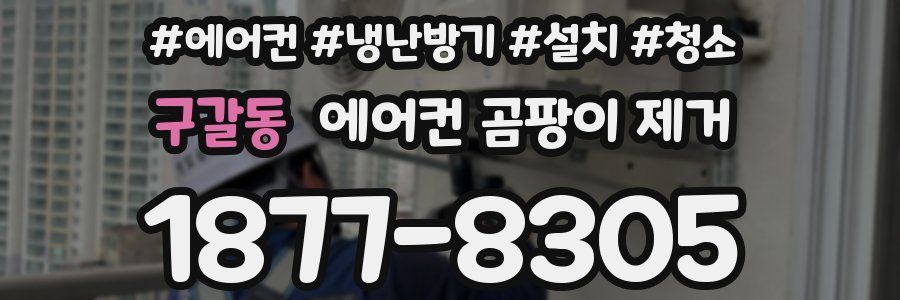 구갈동 에어컨 곰팡이 제거