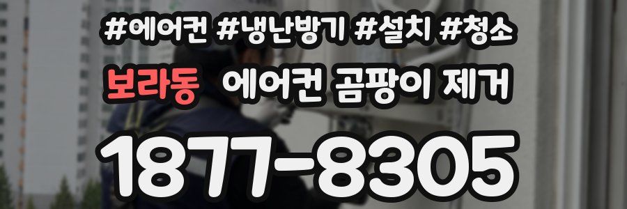 보라동 에어컨 곰팡이 제거