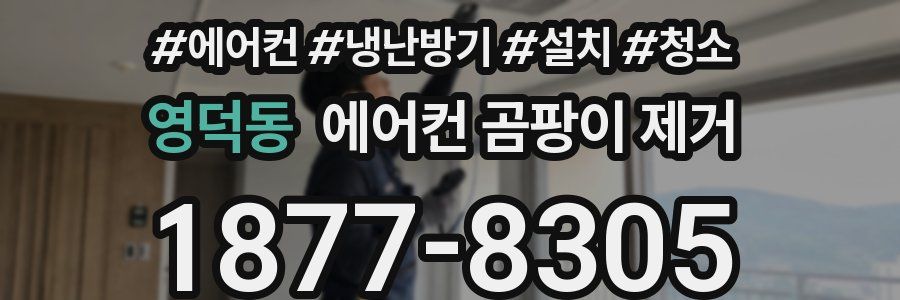 영덕동 에어컨 곰팡이 제거