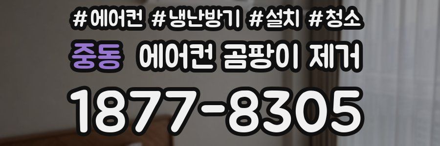 중동 에어컨 곰팡이 제거