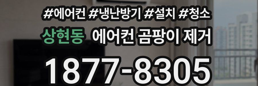 상현동 에어컨 곰팡이 제거