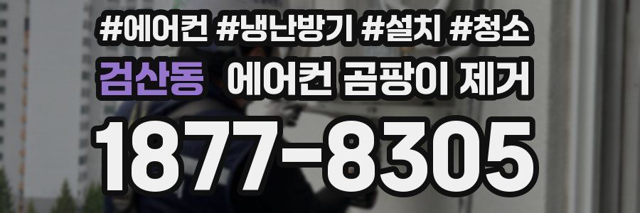 검산동 에어컨 곰팡이 제거
