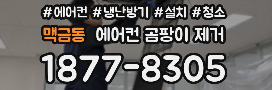 맥금동 에어컨 곰팡이 제거
