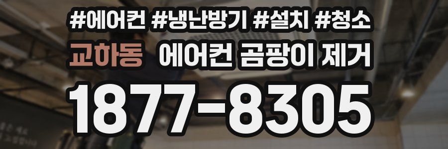 교하동 에어컨 곰팡이 제거