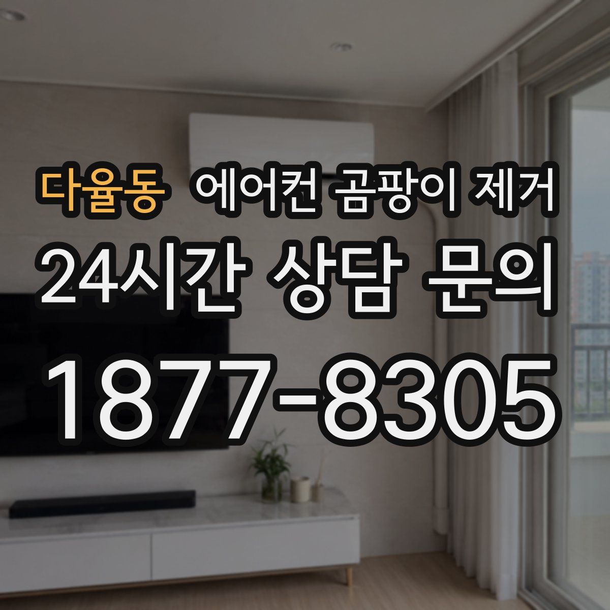다율동 에어컨 곰팡이 제거