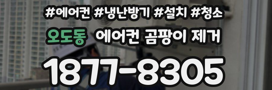 오도동 에어컨 곰팡이 제거