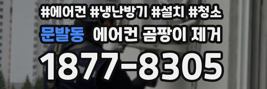 문발동 에어컨 곰팡이 제거
