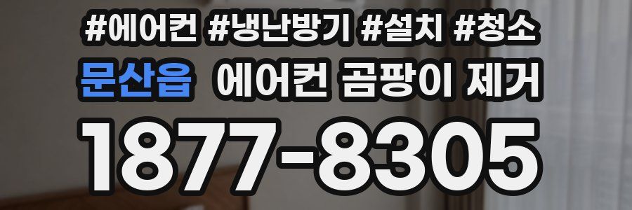 문산읍 에어컨 곰팡이 제거