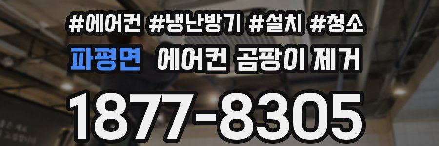 파평면 에어컨 곰팡이 제거