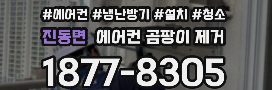 진동면 에어컨 곰팡이 제거