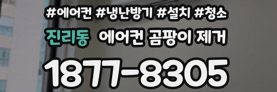 진리동 에어컨 곰팡이 제거