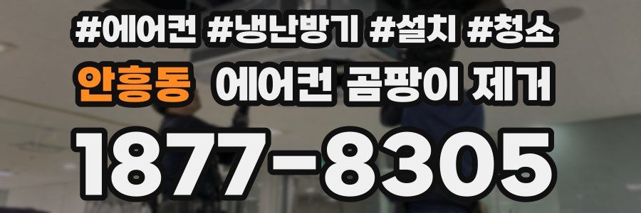 안흥동 에어컨 곰팡이 제거