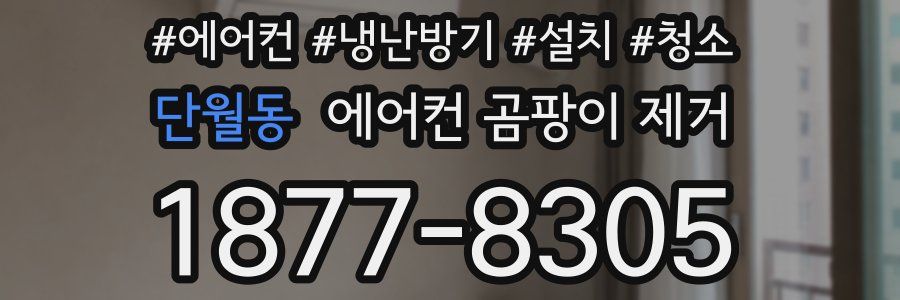 단월동 에어컨 곰팡이 제거