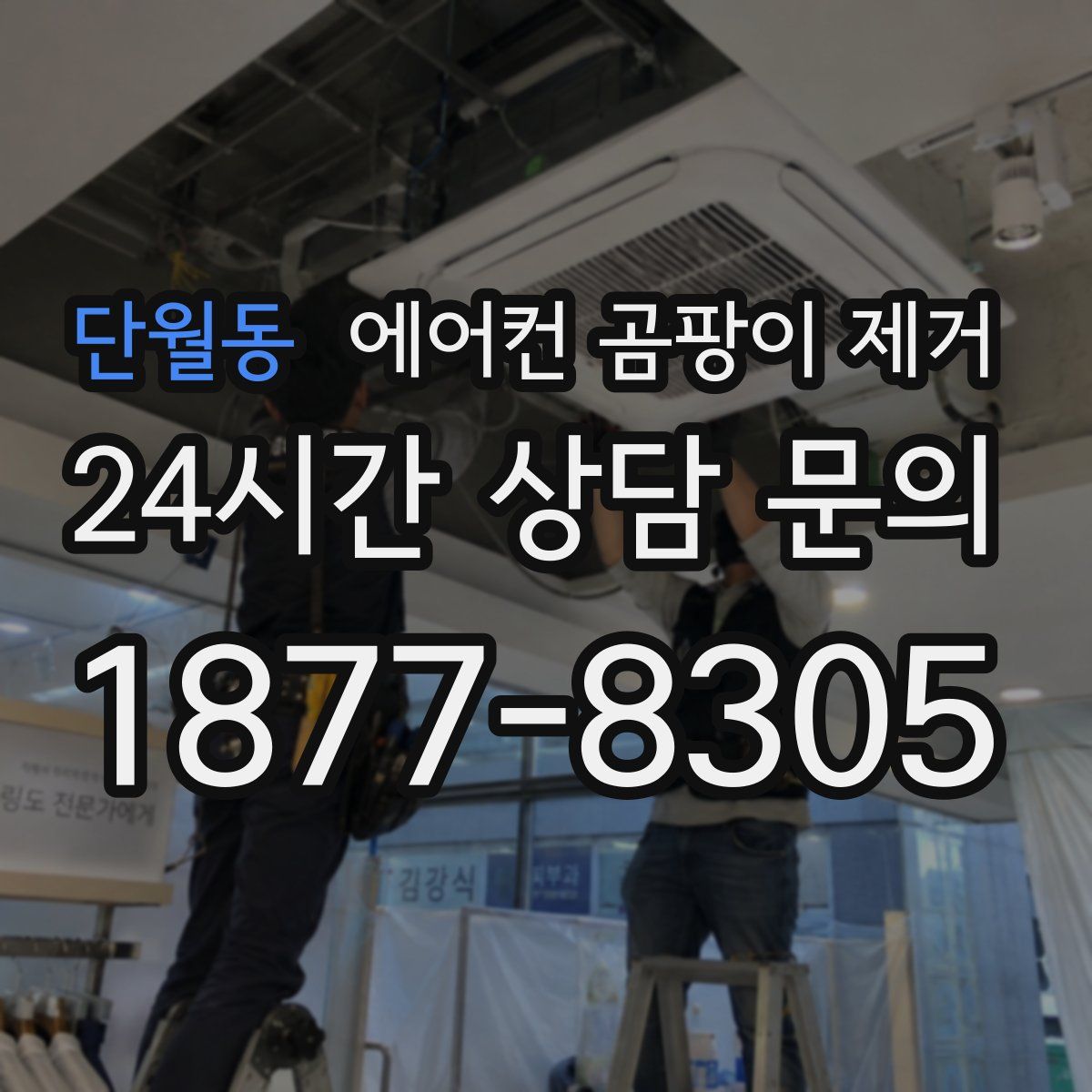 단월동 에어컨 곰팡이 제거