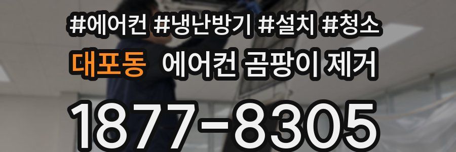 대포동 에어컨 곰팡이 제거