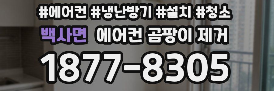 백사면 에어컨 곰팡이 제거