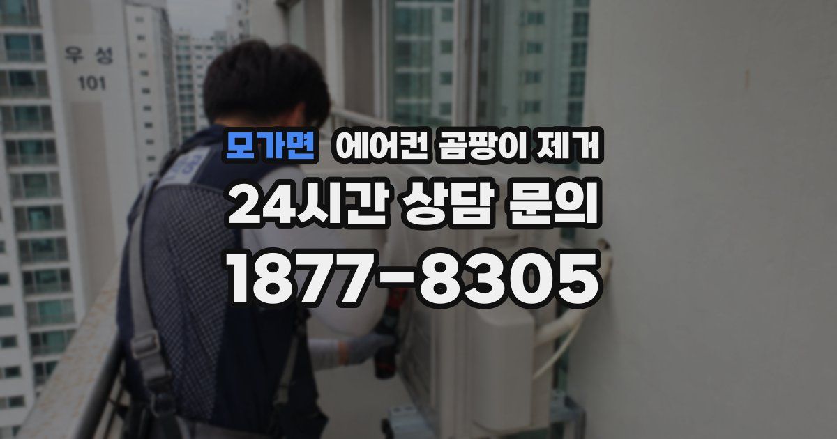 모가면 에어컨 곰팡이 제거