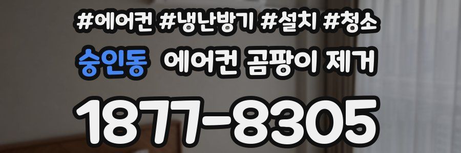 숭인동 에어컨 곰팡이 제거