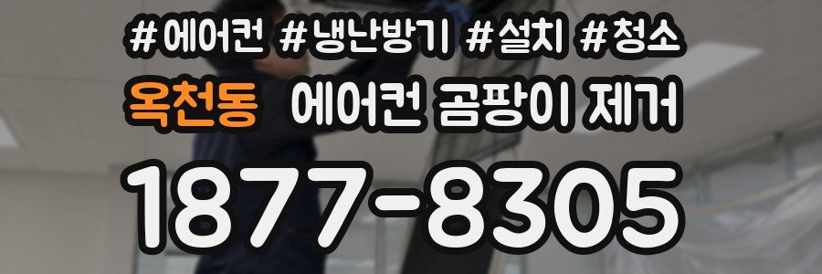 옥천동 에어컨 곰팡이 제거